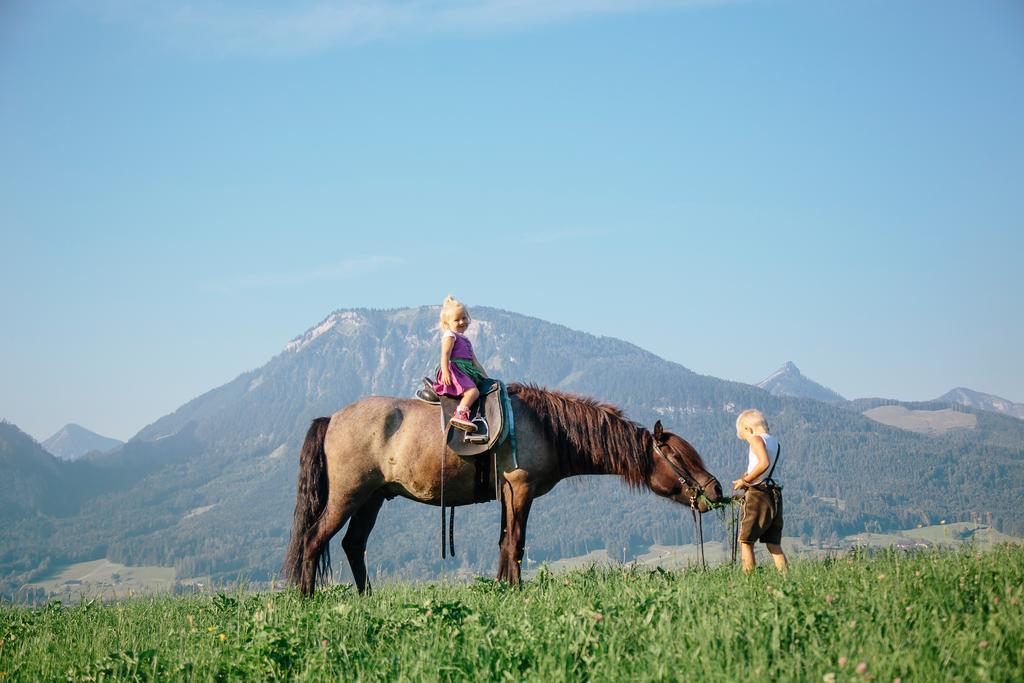 Reiter- Und Feriengut Suassbauer *