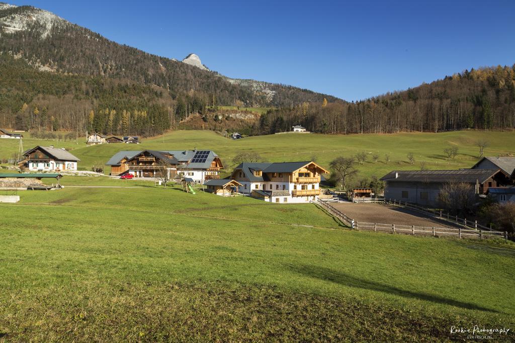 Appartement Reiter- Und Feriengut Suassbauer Saint Wolfgang