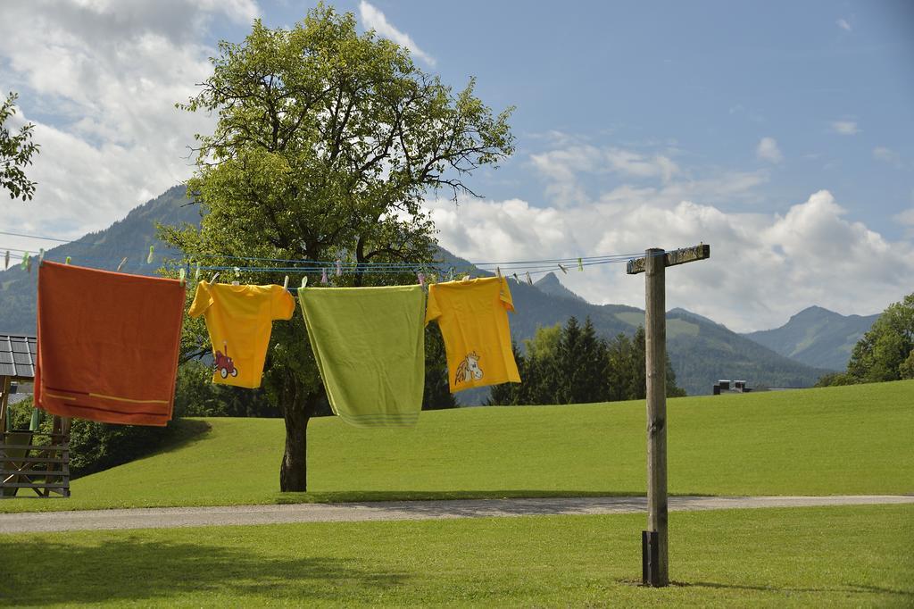 Appartement Reiter- Und Feriengut Suassbauer Saint Wolfgang